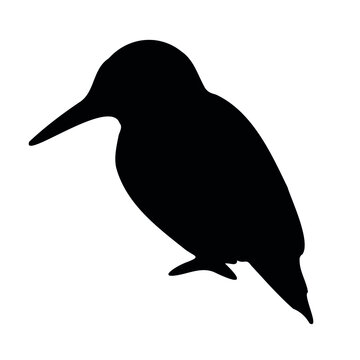 recommend clip art: Vector hand drawn kingfisher silhouette isolated on white background