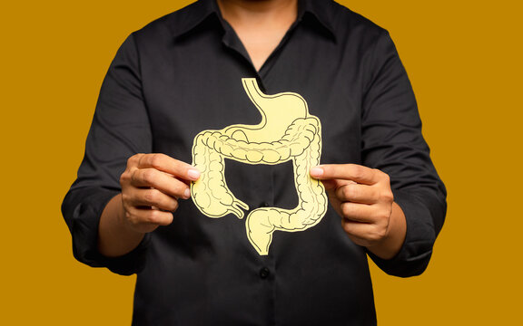 Darmprobleme Bilder – Durchsuchen 13,141 Archivfotos, Vektorgrafiken ...