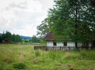 Open-air museum historic rural wooden thatched cottage house and garden with braided fence