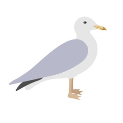 Vector hand drawn flat seagull isolated on white background