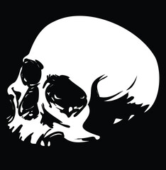 Human white skull isolated in black background vector EPS horror dark illustration