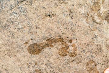 traces on sand human foot