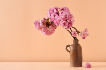 Pink cherry blossoms on a table in springtime