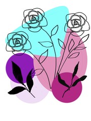 pink and blue flowers