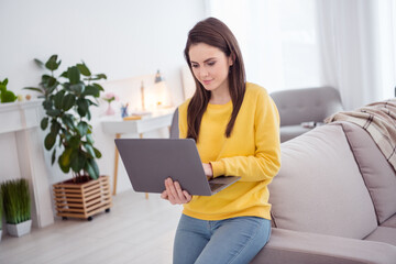 Photo of pretty young girl sitting sofa use wireless netbook write message house indoors