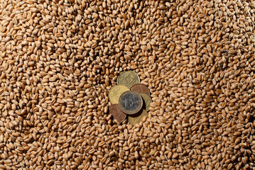 European coins on the background of stolen grain. The concept of world hunger