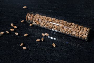 Wheat grains in a glass flask. The concept of a world grain shortage