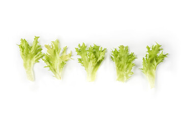 Lettuce. Salad leaf isolated on white background with clipping path