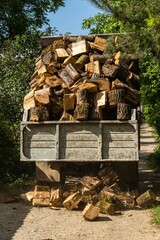Body of dump truck with dry oak stumps is lifted up. The stumps are unloaded onto rural road. Close-up. Stumps are cut from dry fallen trees. Oak stumps are loaded in bulk. Body of dump truck in mud. © AlexanderDenisenko