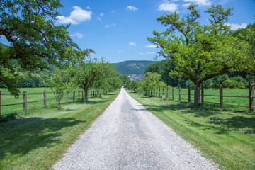 road in direction to the city Urach at the swabian alb