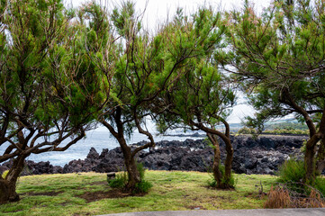 Piscines naturelles dans un environnement volcanique sur l'ile de Terceira , Açores, Portugal