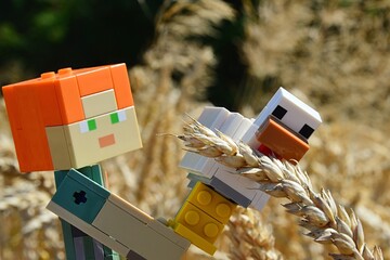 Obraz premium LEGO Minecraft figure of Alexraising chicken to feed her with mature grains of wheat directly on sunlit agrcitultural field, summer daylight sunshine. 