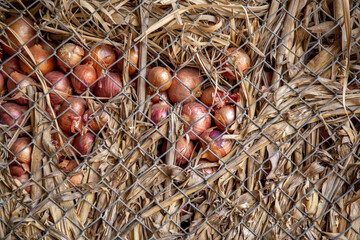 Onions kept in a storage