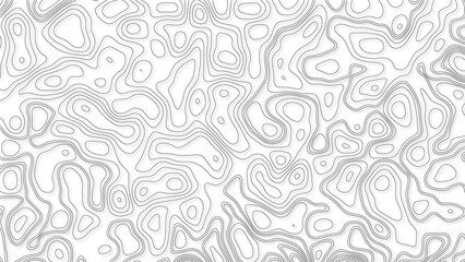 White wave paper curved reliefs abstract background, Abstract topographic contours map background. Geographic mountain relief. Abstract lines background. Contour maps. Business concept.