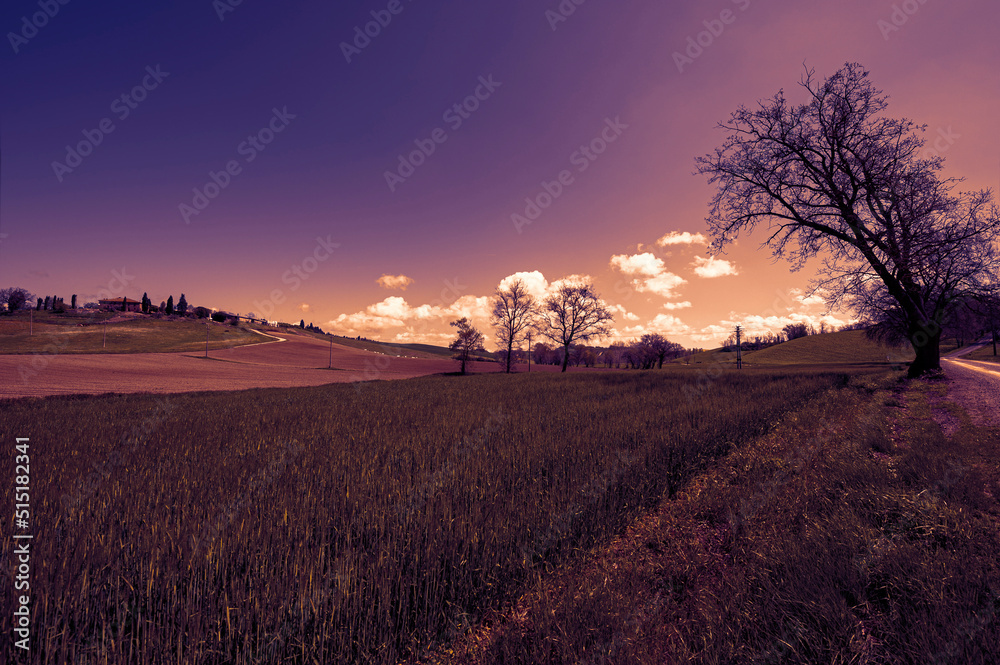 Wall mural green hills of tuscany