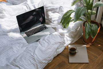 Laptop on modern bed linen, cup of coffee, book, green plant in a pot. Beautiful sunlight. - Powered by Adobe