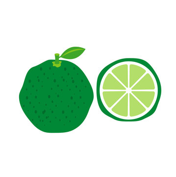 すだち の画像 4 139 件の Stock 写真 ベクターおよびビデオ Adobe Stock