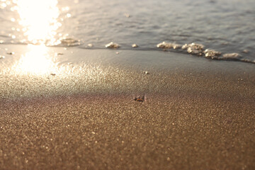 Sea waves and warm sunset light, calm and relaxing sandy beach