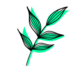 Leaves Plant Texture