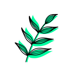 Leaves Plant Texture