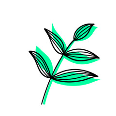 Leaves Plant Texture