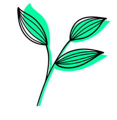 Obraz premium Leaves Plant Texture