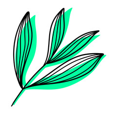 Leaves Plant Texture