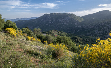 Fototapeta premium View from a street in Dimitsana, a picturesque mountain village, built like an amphitheatre, surrounded by mountain tops and pine tree forests, Arcadia region, central Peloponnes, Greece