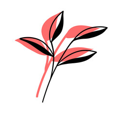 Leaves Plant Texture