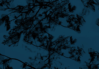 Seamless Pattern with Black silhouettes Tree Branches and leaves on a blue background. 