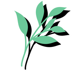 Leaves Plant Texture