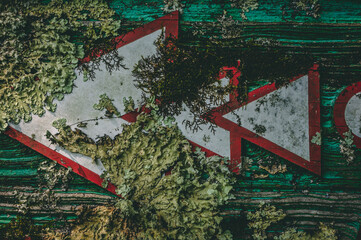 Closeup of Green Moss Growing On An Arrow Sign