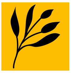 Leaves Plant in Rectangle Shape
