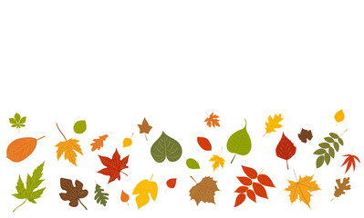 autumn leaves on white background vector