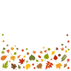 Obraz na płótnie Canvas autumn leaves on white background