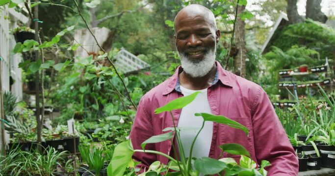 Portrait of happy senior african american man holding plants and similing in garden