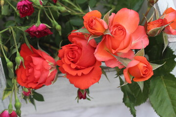 a bouquet of small orange roses in a box