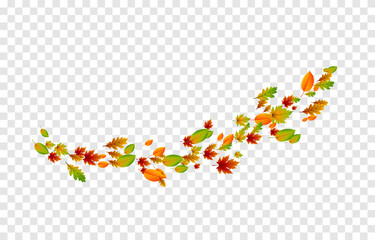Vector leaves on isolated transparent background. The wind blows off the leaves, the wind blows. Autumn. Leaves png. - obrazy, fototapety, plakaty