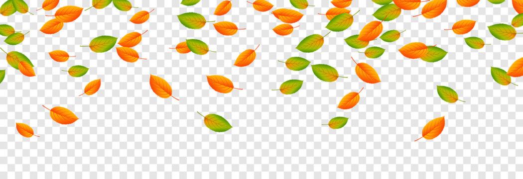 Vector leaf fall on an isolated transparent background. Autumn, the leaves are falling from the trees. Leaves png.