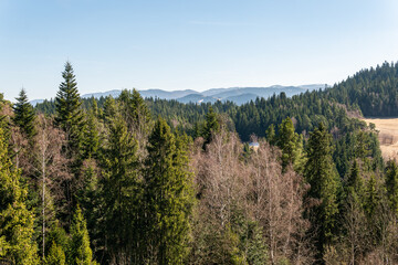 Amazing aerial panoramic view on the mountains, forest, village from observation deck in Poland, Rabka-Zdroj - obrazy, fototapety, plakaty