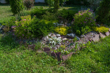 Landscape design of plants and stones on the lawn near the house