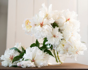 White Peony Flowers