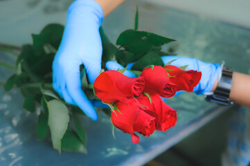 woman worker is packing beautiful bouquet of red rose flowers in cardboard boxes and preparing them for the market