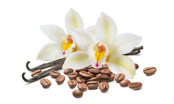 Vanilla flowers and pile of coffee beans isolated on white background.