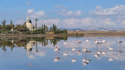The ancient mosque Hala Sultan Tekke on the salt lake in Larnaca. Cyprus