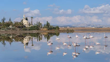 Fotobehang The ancient mosque Hala Sultan Tekke on the salt lake in Larnaca. Cyprus © tns2710