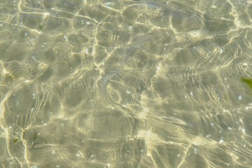 Fototapeta na wymiar Above closeup of sunlight reflecting on water at beach with copy space. Closeup of shallow waves and calm ripples on a coastline on a sunny day outside. Clear liquid refracting sun rays in summer