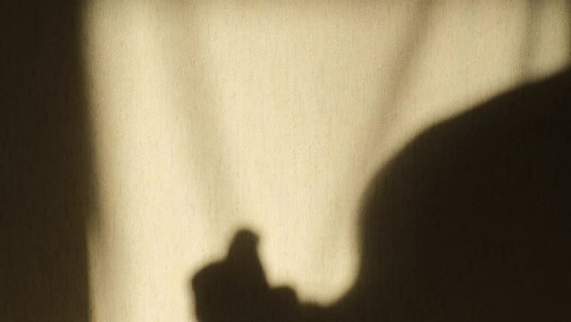 Silhouette of a man's hand gesticulating, beckoning someone to him