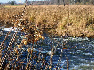 view of the river near Suprasl