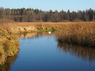 view of the river near Suprasl